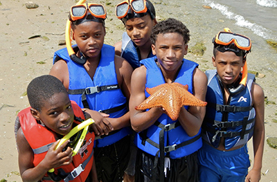 group of boys holding starfish